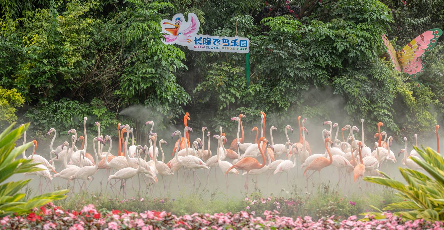 Chimelong Birds Park