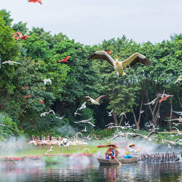 Chimelong Safari Park – Wildlife Adventure Awaits: Your Ultimate Guide to Guangzhou’s Premier Animal Kingdom