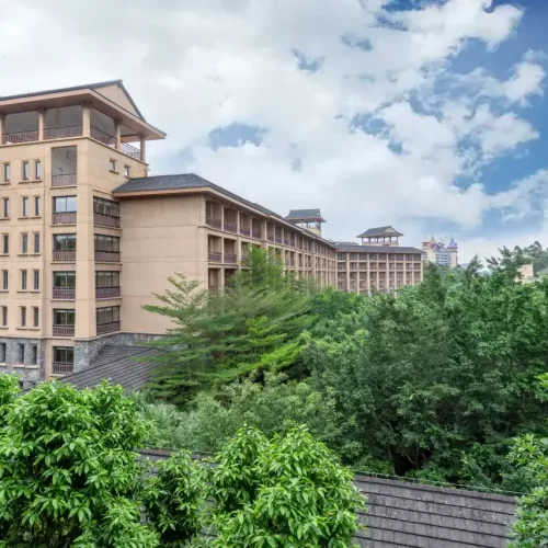 Safari Room-King Bed